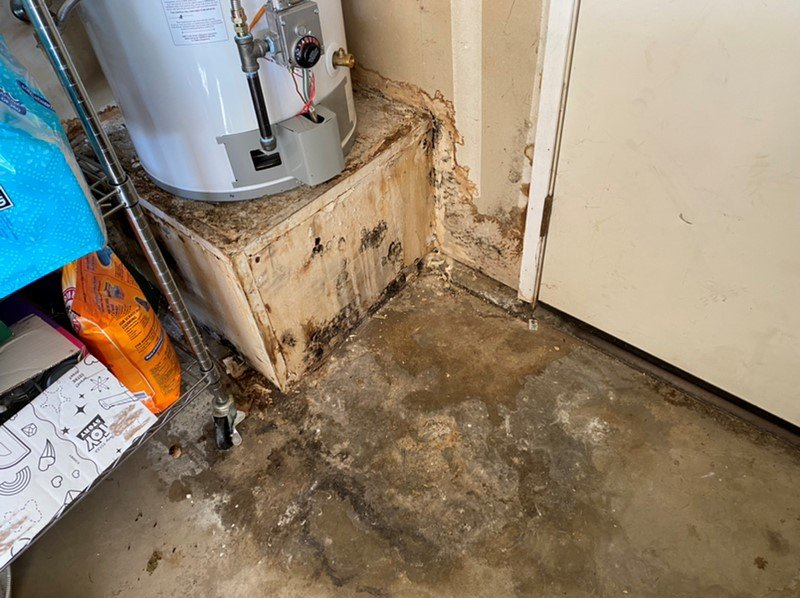 Mold containment barrier setup for safe remediation in Fresno